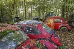 Loppies-Volkswagen_Forest-10