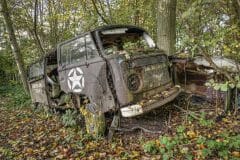 Loppies-Volkswagen_Forest-15