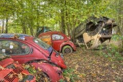 Loppies-Volkswagen_Forest-9